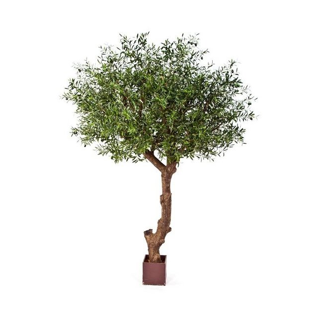 Natürlicher Olivenbaum Poly-Kunstpflanze