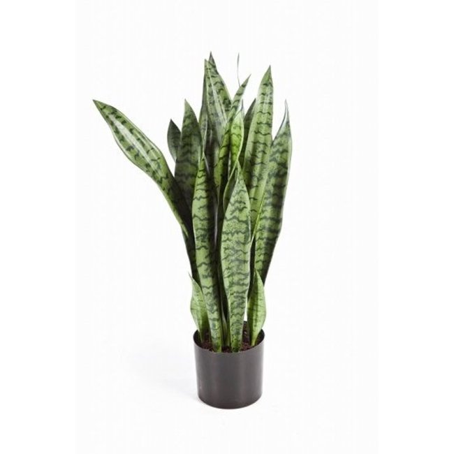 Sansevieria Kunstpflanze