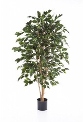 Künstliches Ficus-Pflanzenmedium