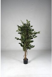 Künstliches Ficus-Pflanzenmedium
