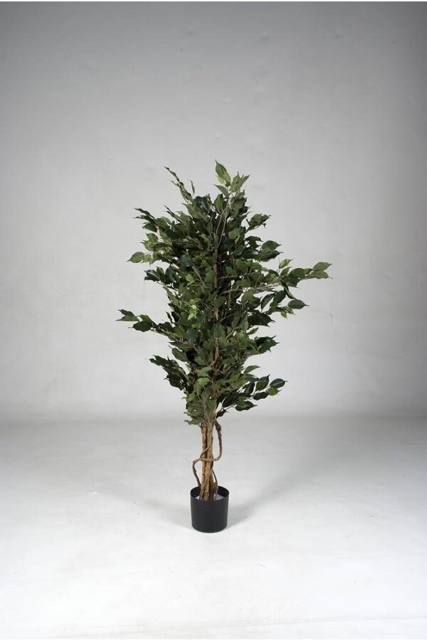 Künstliches Ficus-Pflanzenmedium