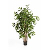 Dracaena Drachenbaum Kunstpflanze