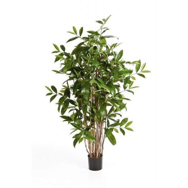 Dracaena Drachenbaum Kunstpflanze