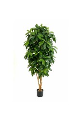 Schefflera-Kunstpflanze