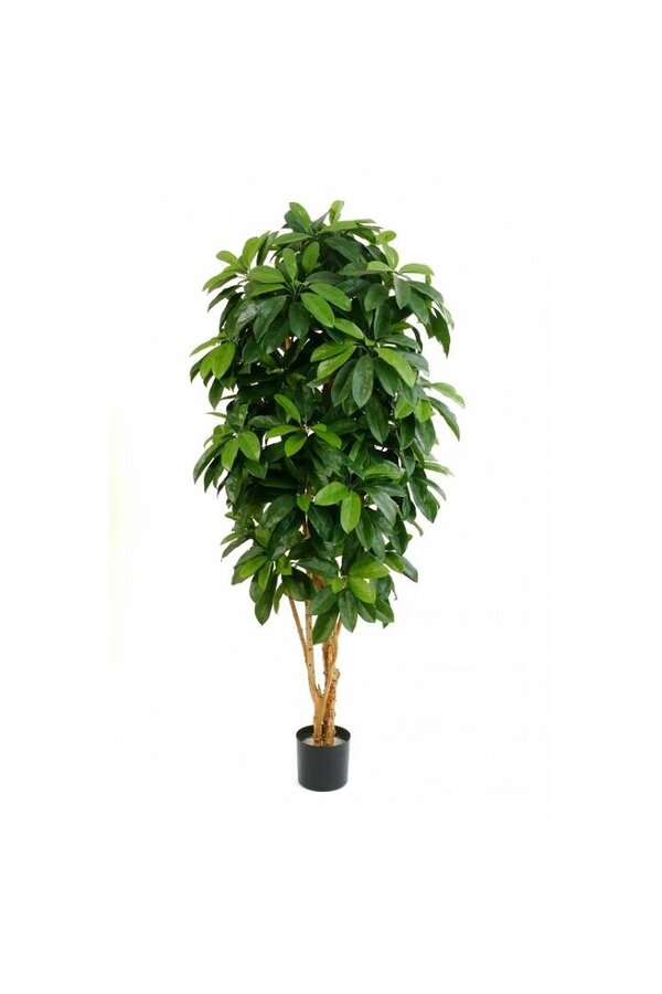 Schefflera-Kunstpflanze