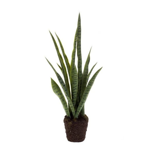 Sansevieria Kunstpflanze