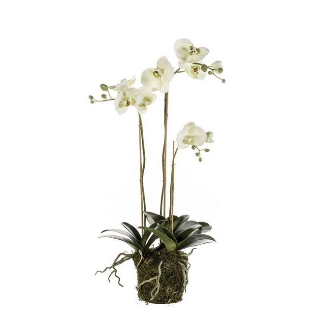 Orchidee weiß Kunstpflanze
