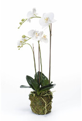 Orchidee weiß Kunstpflanze