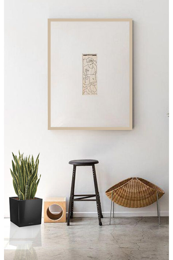 Sansevieria im selbstbewässernden Würfel