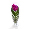 Vanda dunkle Rose in champagnerfarbener Vase