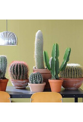 Klassischer Terrakotta-Blumentopf 25