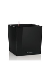 Premium Backstein All Inclusive S