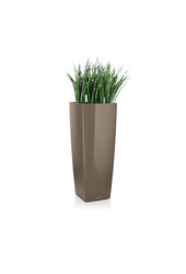 Sansevieria-Zylinder Selbstbewässerung Alto
