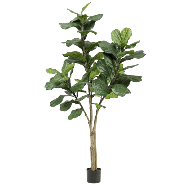 Ficus Lyrata XL Kunstpflanze