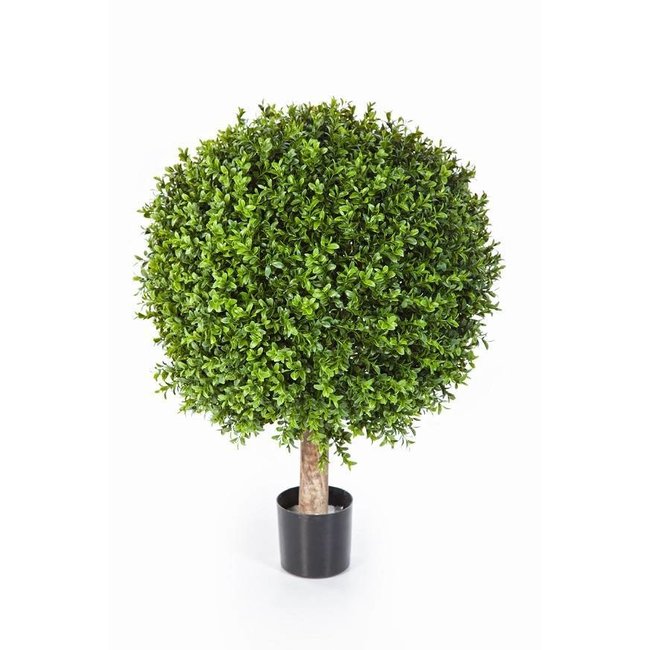 Künstliche Pflanze Buxus in Elho Pure Soft