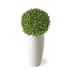 Künstliche Pflanze Buxus in Elho Pure Soft