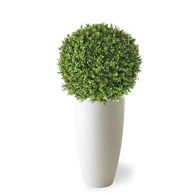 Künstliche Pflanze Buxus in Elho Pure Soft