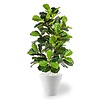 Kunstpflanze Ficus lyrata in Pure Round S