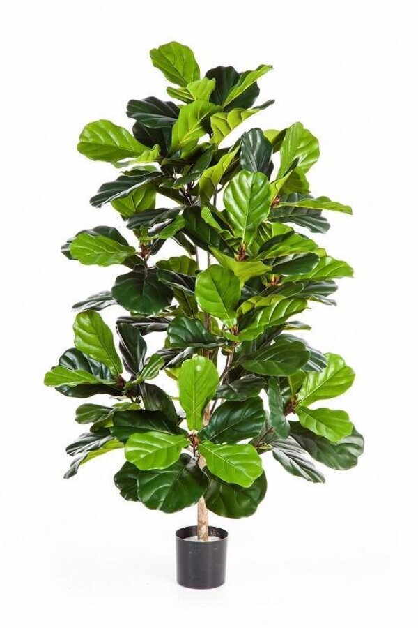 Kunstpflanze Ficus lyrata in Pure Round S