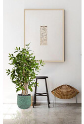 Künstliche Pflanze Dracaena im Evi-Topf