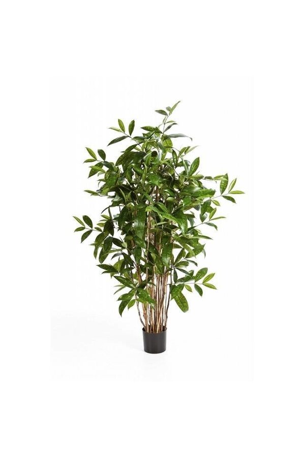 Künstliche Pflanze Dracaena im Evi-Topf