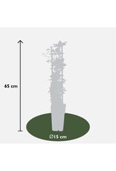 Kontinuierlich blühende Waldrebe Corinne