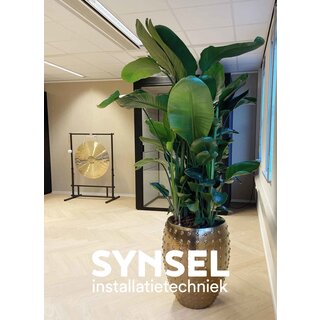 Synsel-Technologie