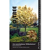 Ahornbaum Acer Brilliantissimum C15 HT 6/8 210 cm Stammhöhe
