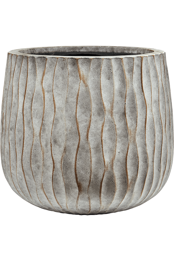 Wave Pax M, Fossil gewaschen