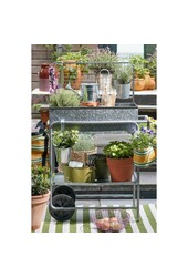 Ken Grow Table - L77 x B38 x H119 - Verzinktes Stahlblech