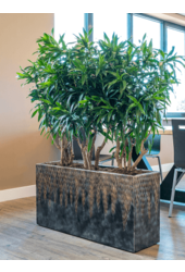 Baq Luxe Lite Universe Komet Rechteck Bronze