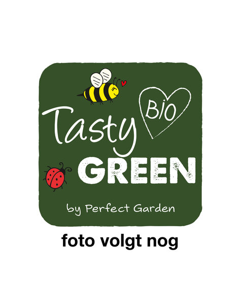 Ribes uva-crispa Crispa® Goldling® Bio P23