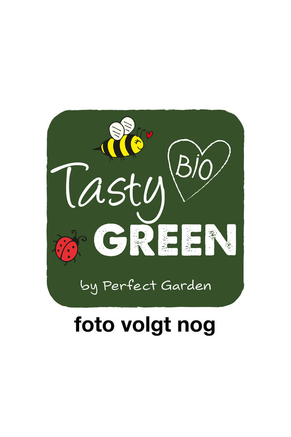 Ribes uva-crispa Crispa® Goldling® Bio P23