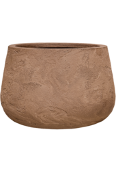 Baq Algar Darcy Brown