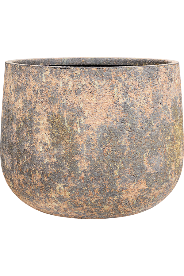 Baq Atlas Darcy Brown