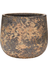 Baq Atlas Darcy Brown