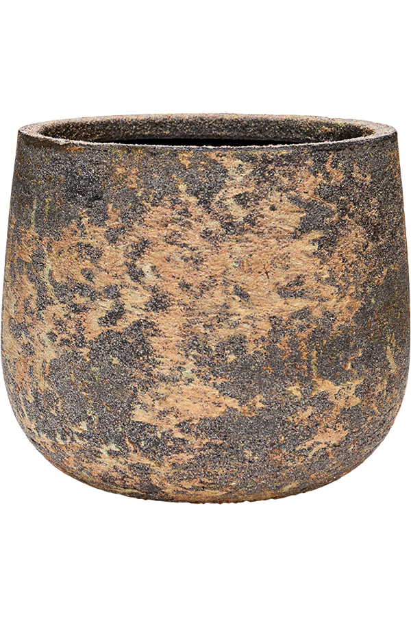 Baq Atlas Darcy Brown