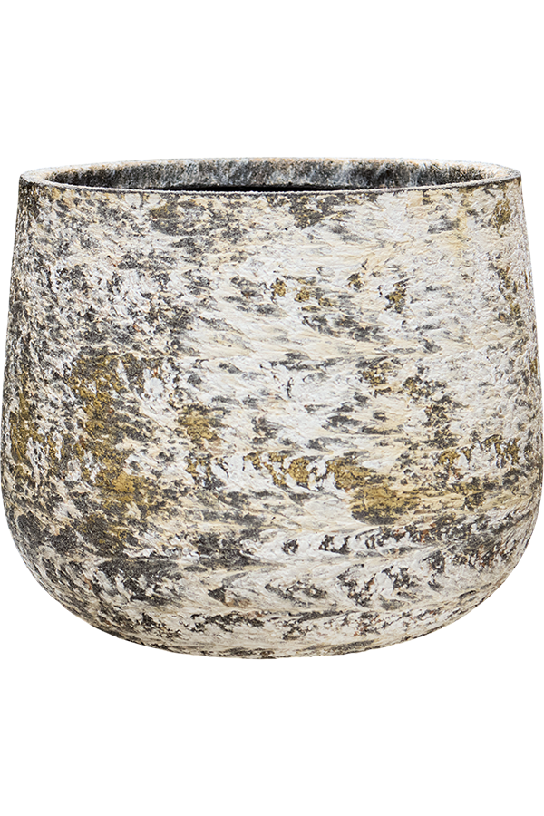 Baq Atlas Darcy White