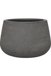 Baq Algar Darcy Grau