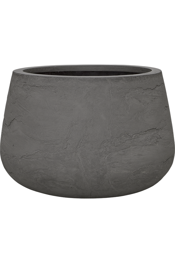 Baq Algar Darcy Grau