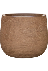 Baq Algar Darcy Hoch Braun