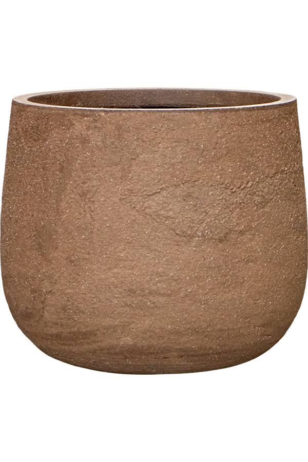 Baq Algar Darcy Hoch Braun