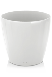 Lechuza Classico Weiß Hochglanz