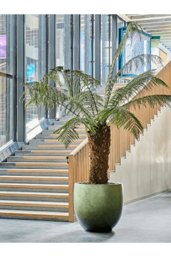 Baq Gradient Ballon Matt Waldgrün