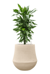 Baq Polystone Beschichtet Einfarbig Darcy Natur