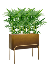 Baq Gradient Elevated Rectangle High Matt Honey ( + Fuß)