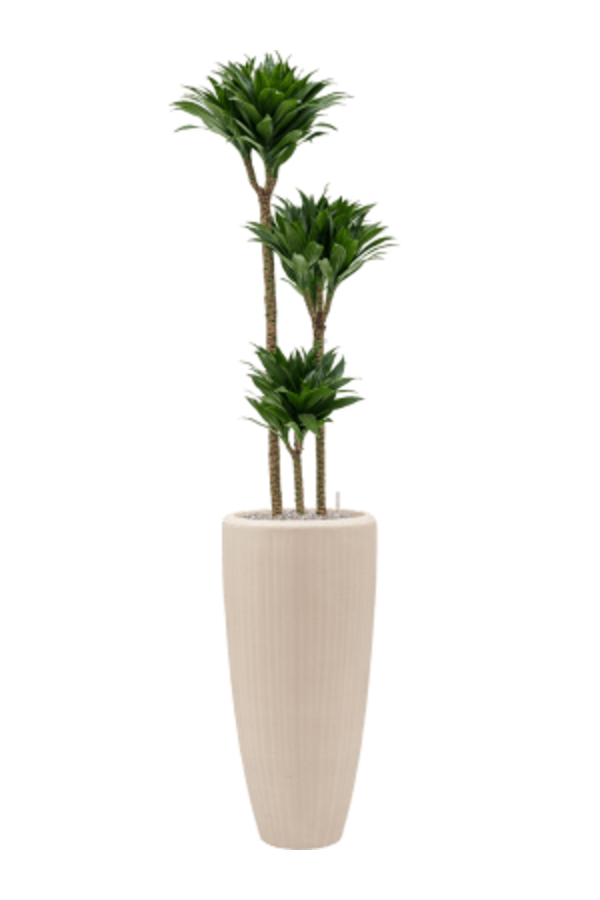 Baq Polystone Plain Partner Natural (mit Einsatz)