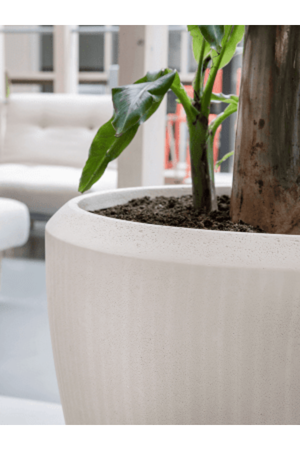 Baq Polystone Einfarbiges Paar Natur