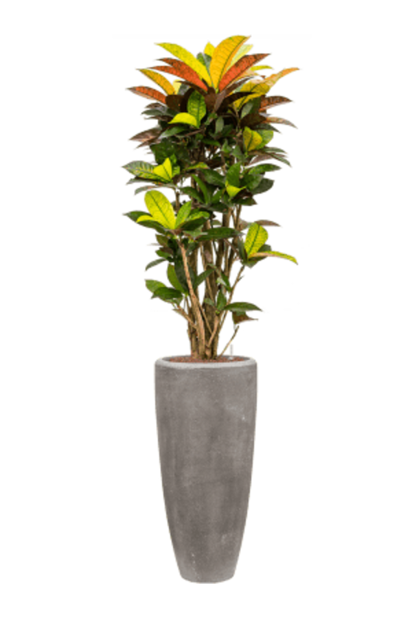 Baq Polystone Plain Partner Grau (mit Einsatz)