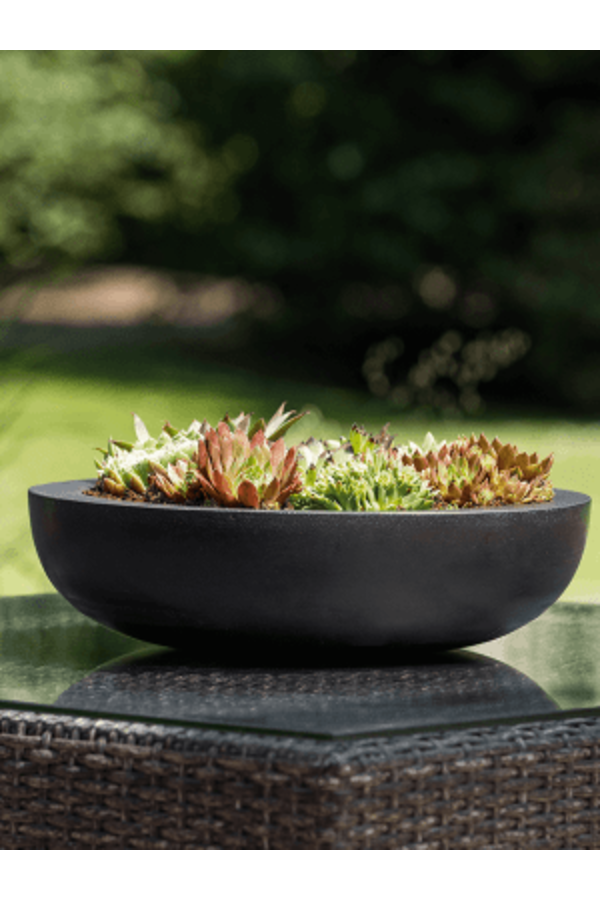 Fiberstone Monique L Schwarz